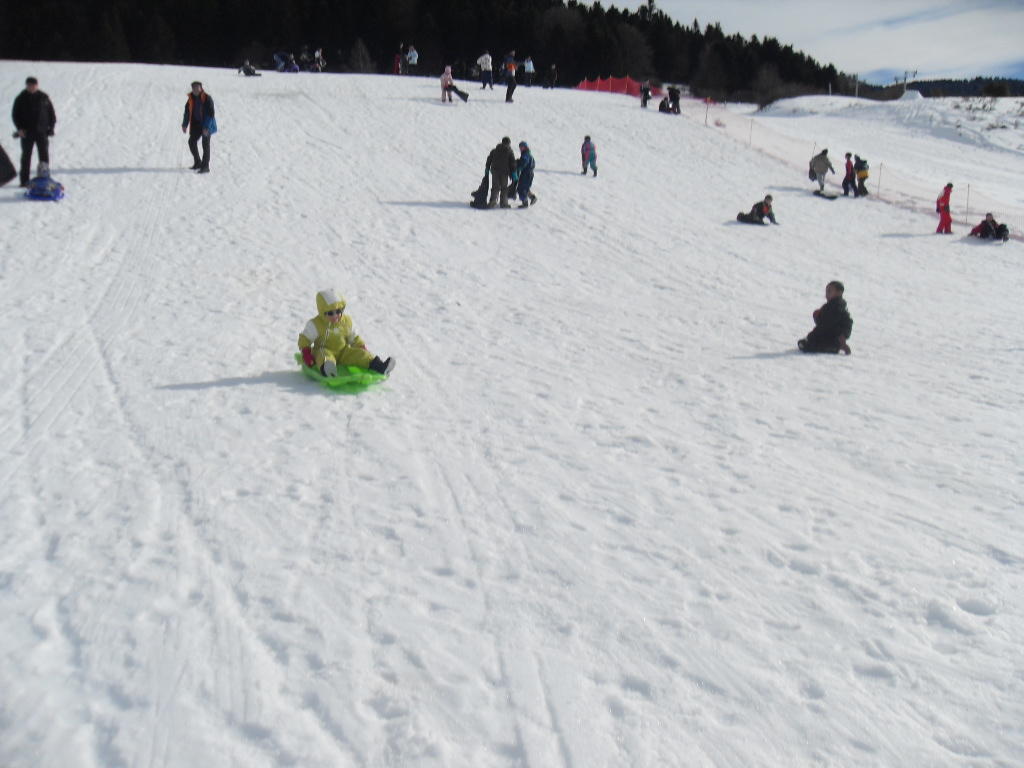 sdc10674.jpg