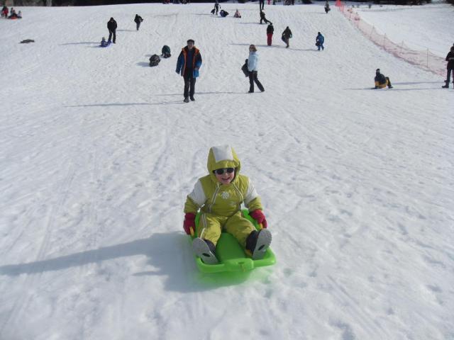 sdc10676.jpg