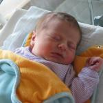 img_2980.jpg