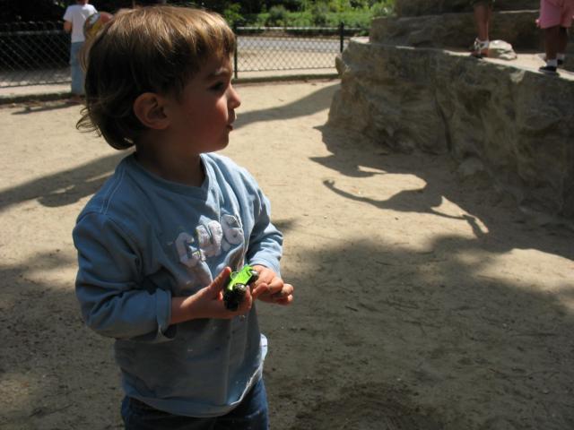 img_5174.jpg