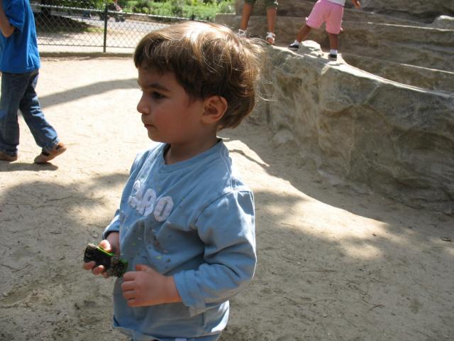 img_5175.jpg