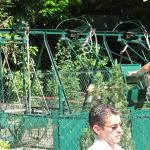 img_5196.jpg