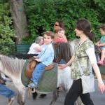img_5232.jpg