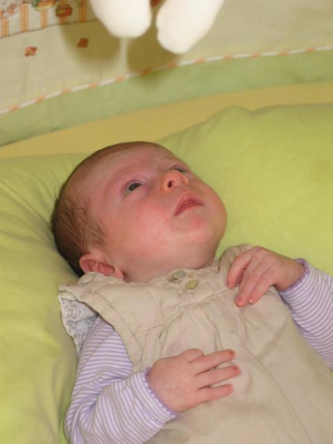 img_20090624_132216.jpg