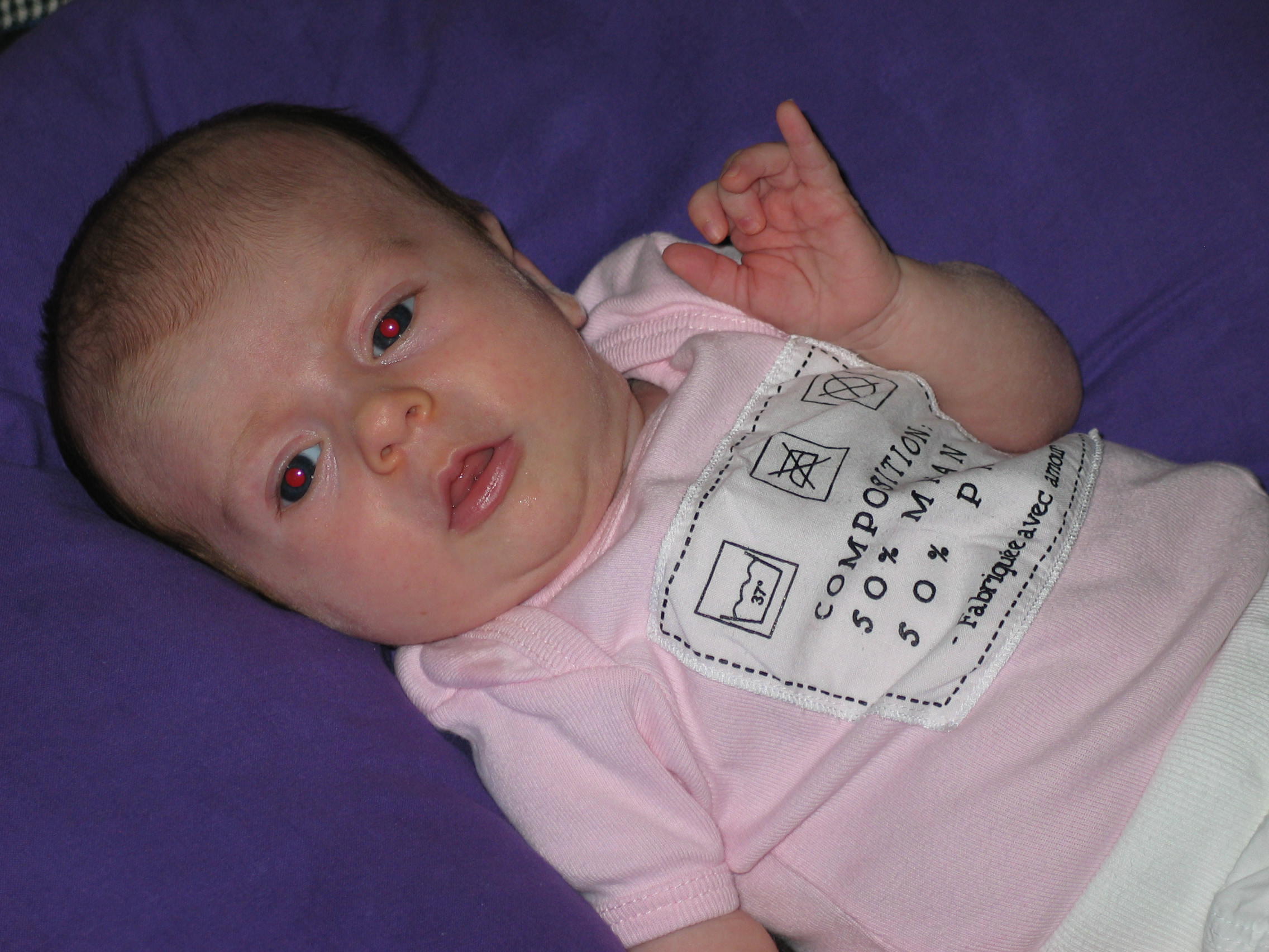 img_20090627_150416.jpg