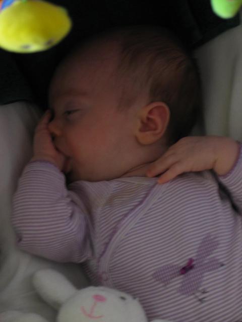 img_20090720_145103.jpg