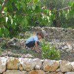 img_20090722_150211.jpg
