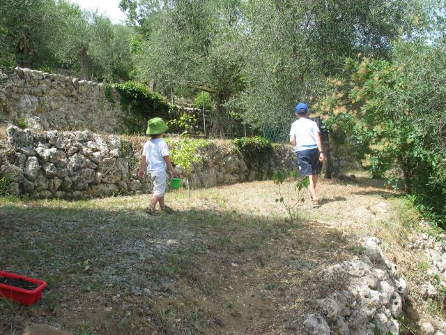 img_20090722_150626.jpg