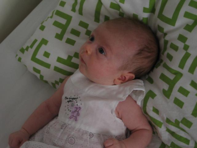 img_20090703_095213.jpg