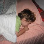 img_1372.jpg