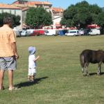 img_1379.jpg