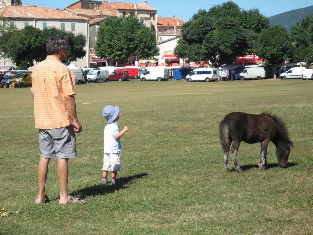 img_1379.jpg
