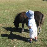 img_1380.jpg