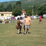 img_1384.jpg