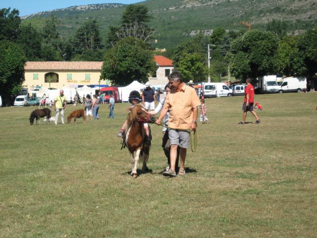 img_1384.jpg