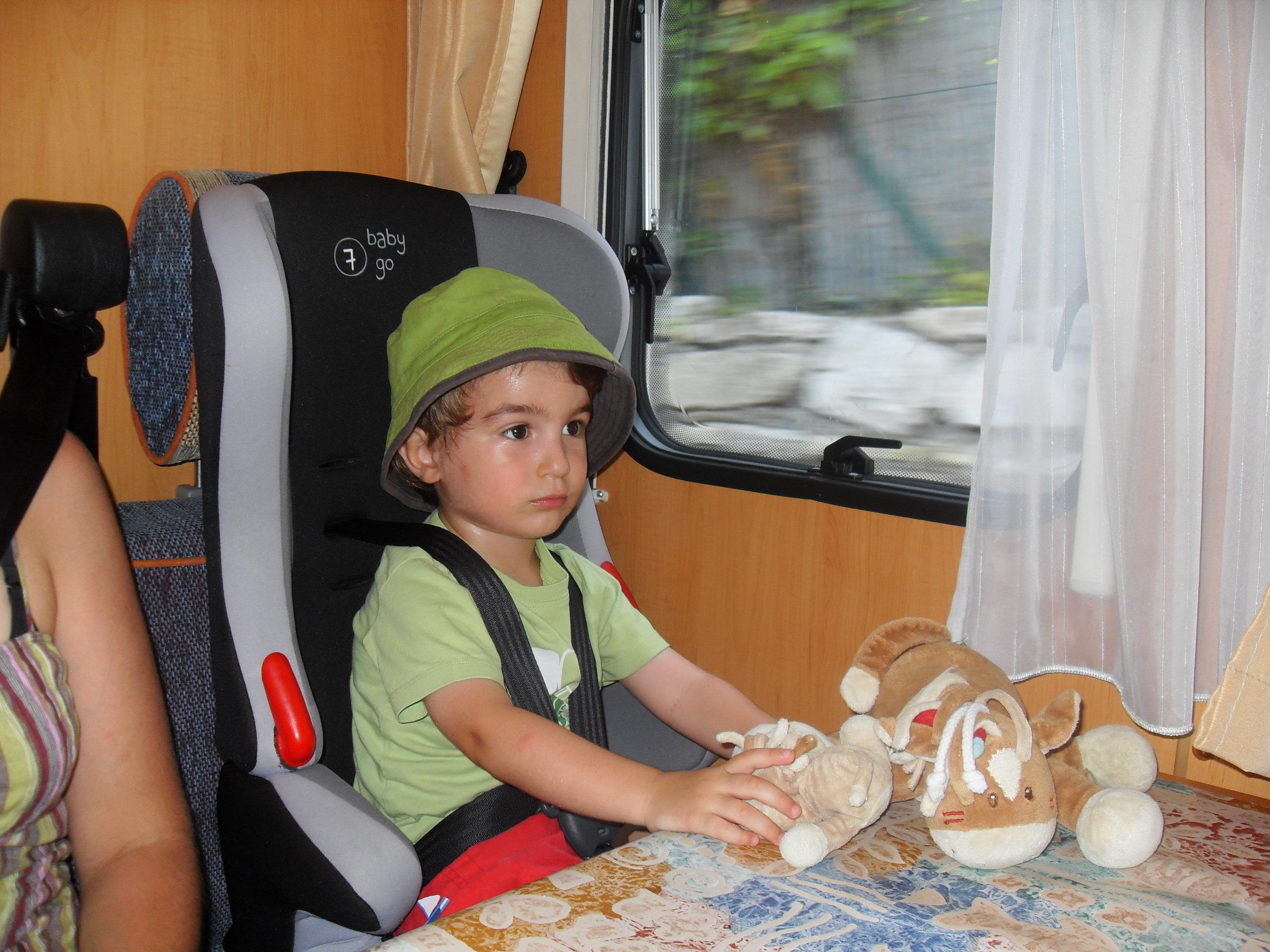sdc11826.jpg