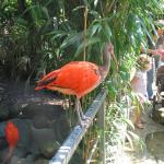 img_20090811_113450.jpg