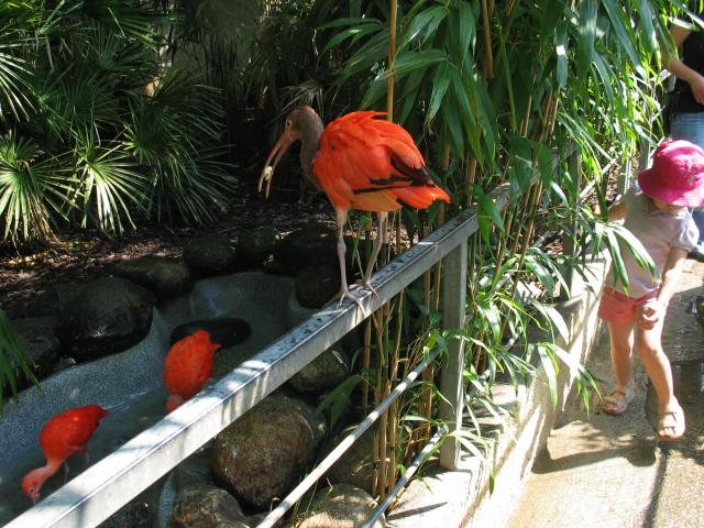 img_20090811_113501.jpg