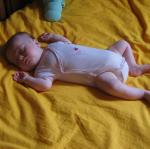 img_20090812_124322.jpg