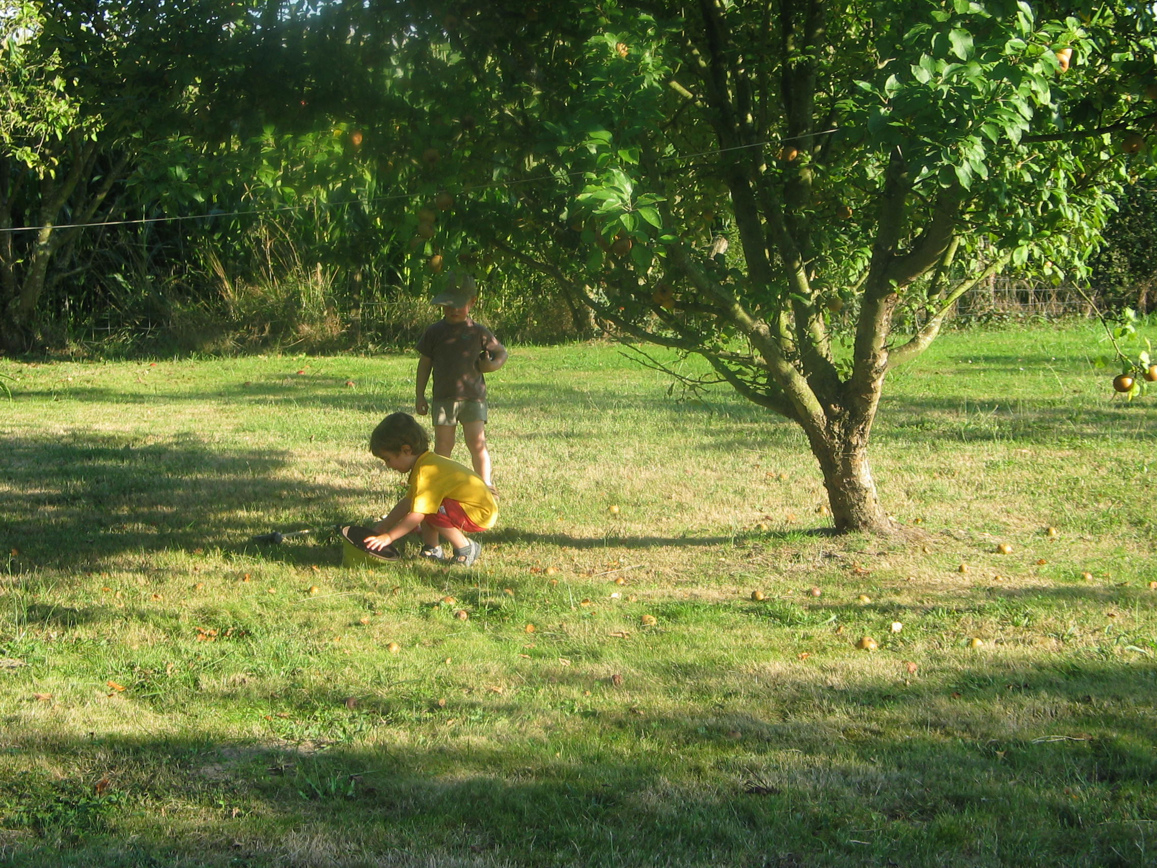 img_20090812_190843.jpg