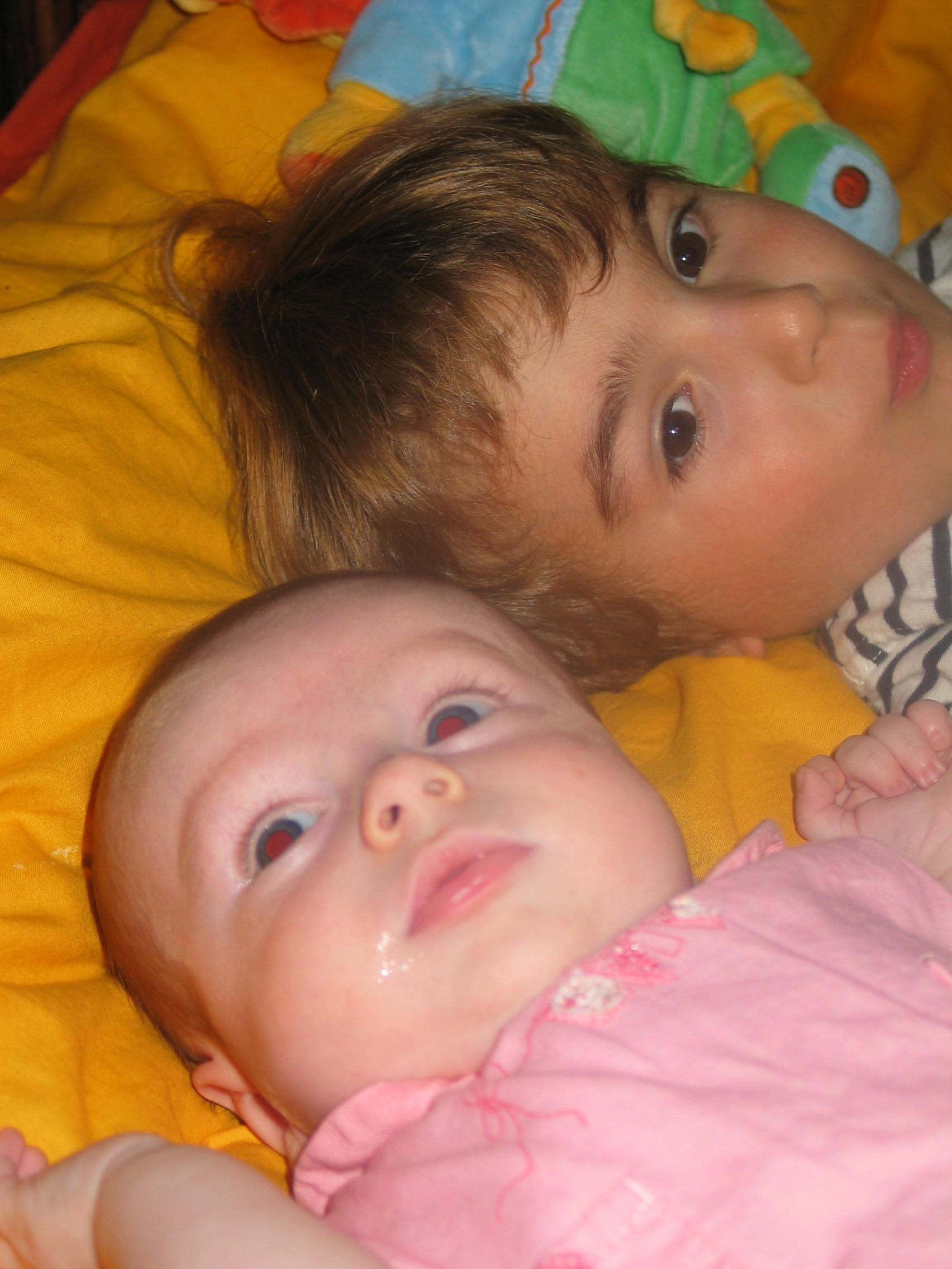 img_20090813_161947.jpg