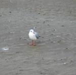 img_3538.jpg