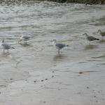 img_3539.jpg