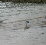 img_3540.jpg