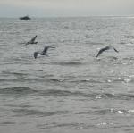 img_3542.jpg