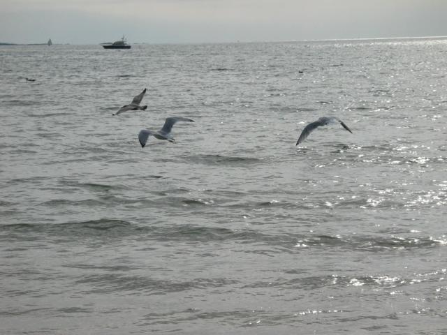 img_3542.jpg